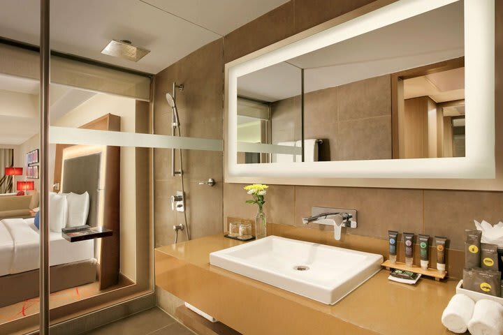 Hotel Novotel Ahmedabad