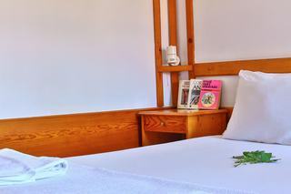Hotel Villa �nemli