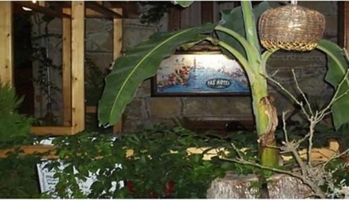 Hostal Tas Motel
