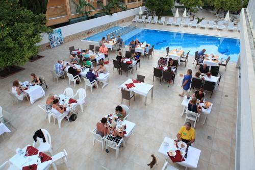 Apartamento Catty Cats Garden Hotel
