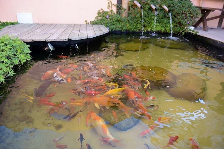 Hotel Recanto Das Carpas