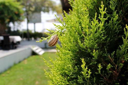 Irem Garden Apartments