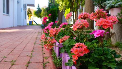 Irem Garden Apartments