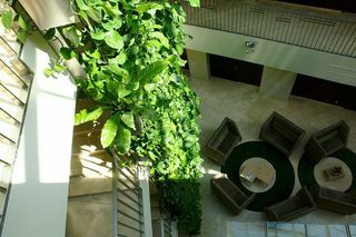Hotel Amberton Green Apartments Palanga