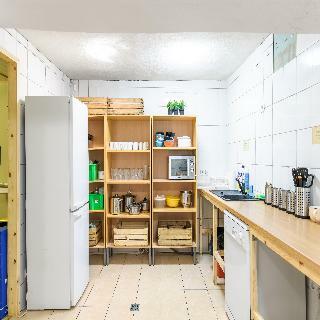 Hostal Downtown Forest Hostel & Camping