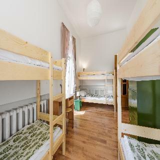 Hostal Downtown Forest Hostel & Camping