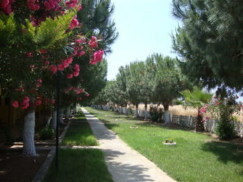 Hotel Koru Beach Club