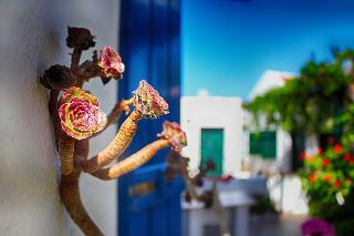 Apartamentos Papadakis Villas