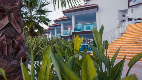 Hotel Garcia Resort & Spa