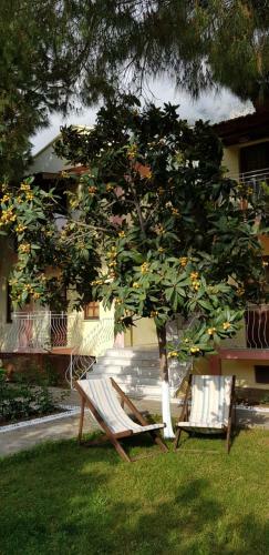 ?lkiz Beach Hotel