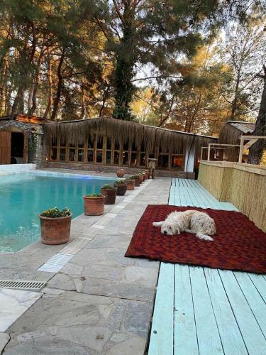 Posada Kayserkaya Cottages