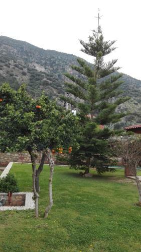 Mavruka Hotel