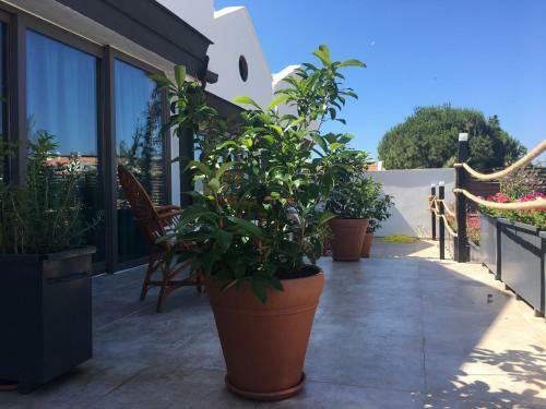 Hostal Mellis Beach Hotel
