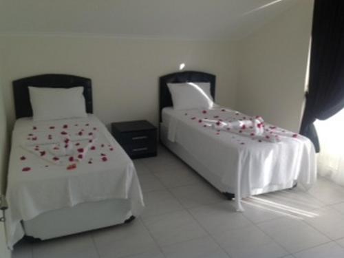 Villa Orka Valley Spa & Resort