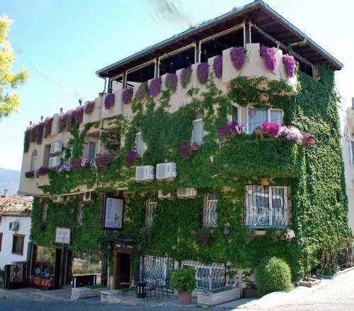 Hostal Bella Hotel