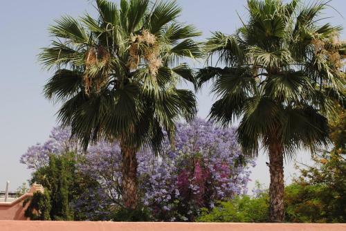 Hotel Riad Dar Palmyra