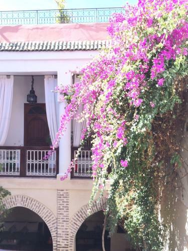 Hotel Riad Dar Palmyra