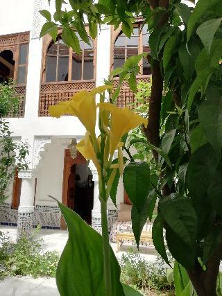 Hotel Riad Ben Youssef