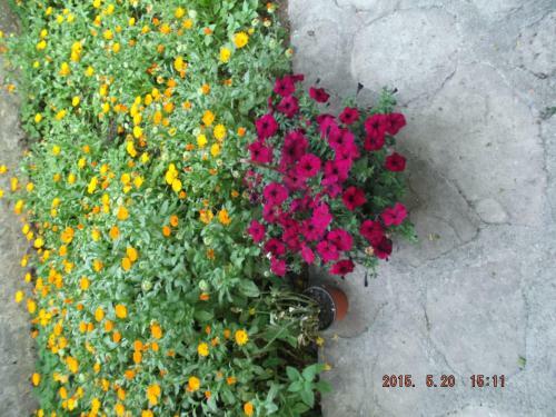 Yildiz Sari Konak Hotel