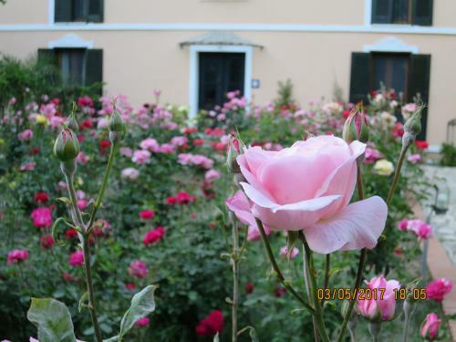 Hotel Kalehan
