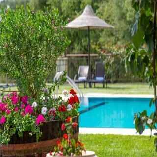 Hotel Agrikia Villa