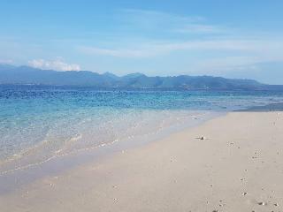 Hotel Kura Kura Resort