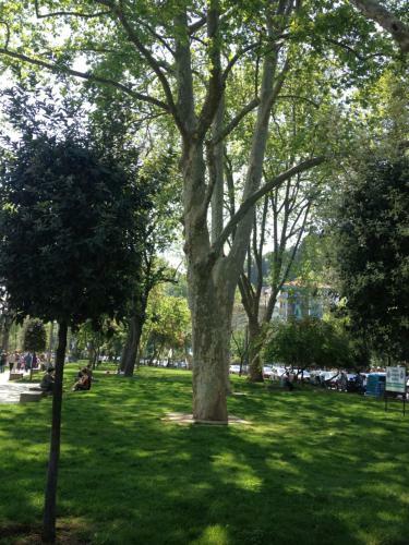 Apartamento Inin Bebek