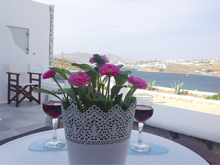 Apartamentos Lavish Suites