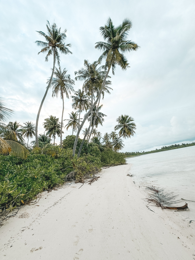 Hotel Rahaa Resort