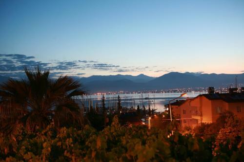 Hostal Ideal Pension