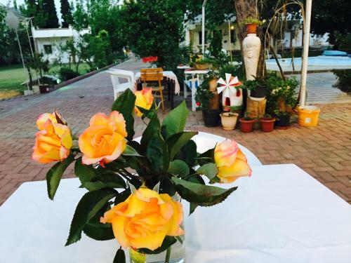 Hostal Mursel Pension Garden Hotel
