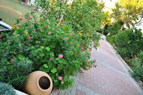 Hostal Mursel Pension Garden Hotel