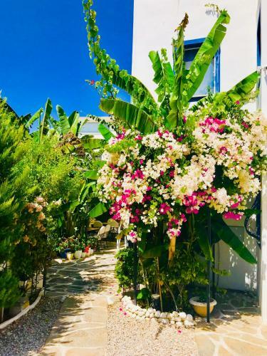 Hostal Artunc Hotel