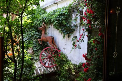 Apartamento Antique Celtik House