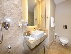 Ramada Plaza Altin Kayisi Hotel