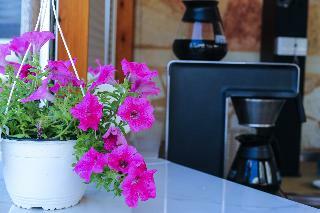 Apartamentos Mandy Suites
