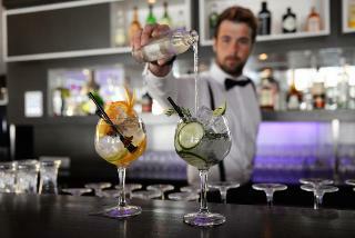 Hotel Sandton de Cooghen