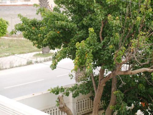 Apartamento Dar El Amen Appartements