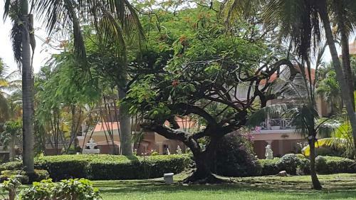 Hotel Coco Reef Resort & Spa