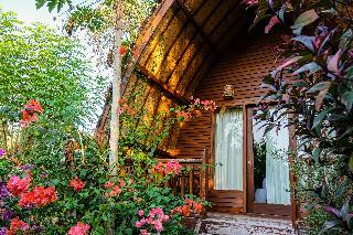 Hotel Oyo 1134 Nelly Homestay