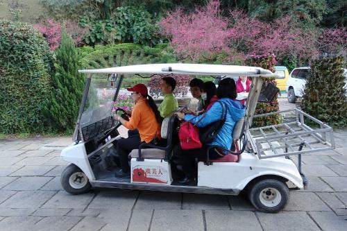 Hotel Tai-yi Red Maple Resort
