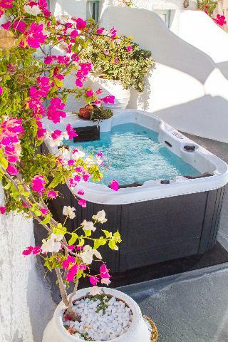 Villa Alexander's Suites
