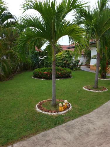 Little Paradise