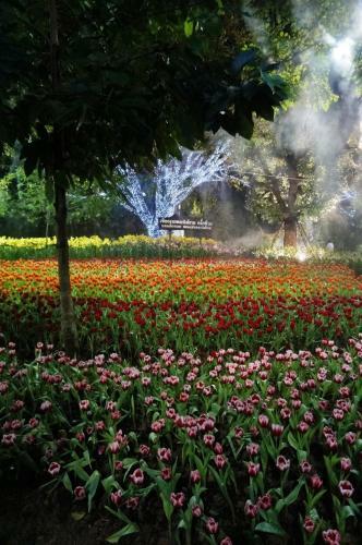 Hostal Sabai Chiang Rai