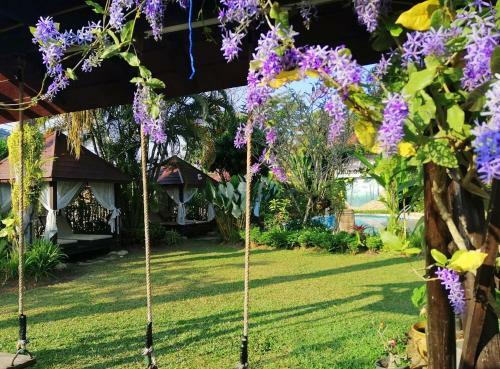 Hotel Homestay Chiangrai