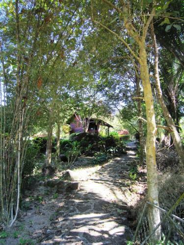 Hotel Phanom Bencha Mountain Resort