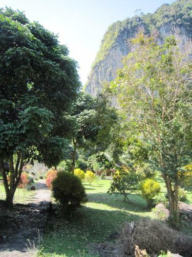 Hotel Phanom Bencha Mountain Resort