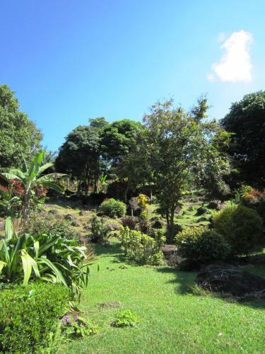 Hotel Phanom Bencha Mountain Resort