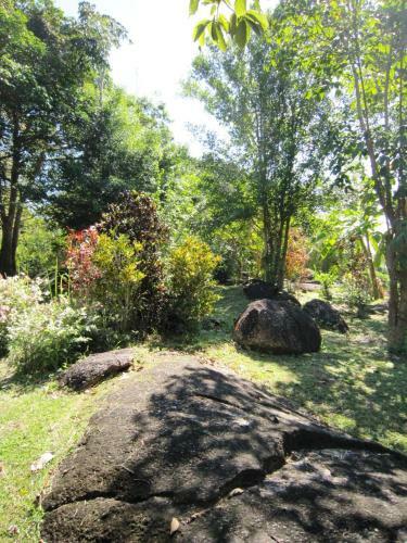 Hotel Phanom Bencha Mountain Resort