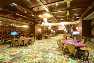 Elexus Hotel & Spa & Casino